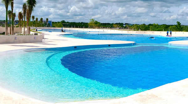 Proyecto Definario Dolpin Discovery